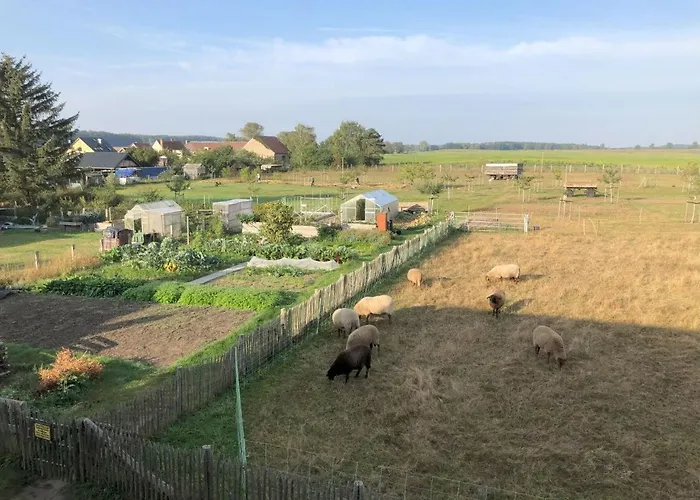 Hirtenwohnung Im Arbeiterhaus شقة راينزبرج